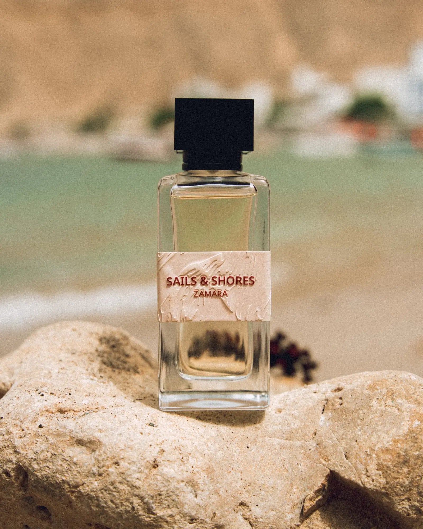 SAILS & SHORES